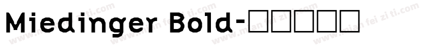 Miedinger Bold字体转换
